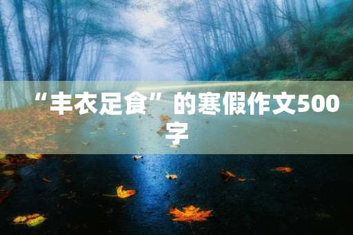 “丰衣足食”的寒假作文500字