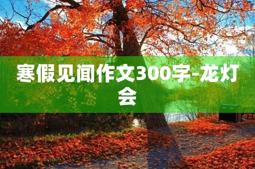 寒假见闻作文300字-龙灯会
