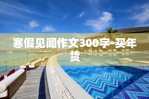 寒假见闻作文300字-买年货