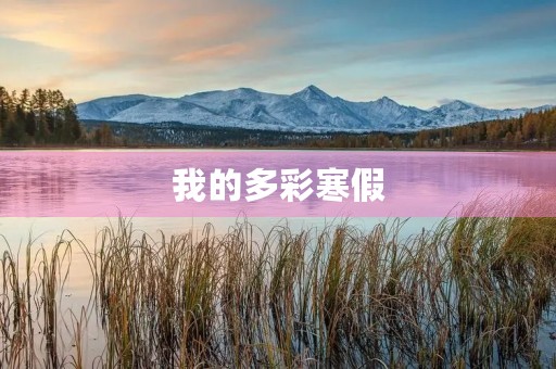 我的多彩寒假 我的多彩寒假