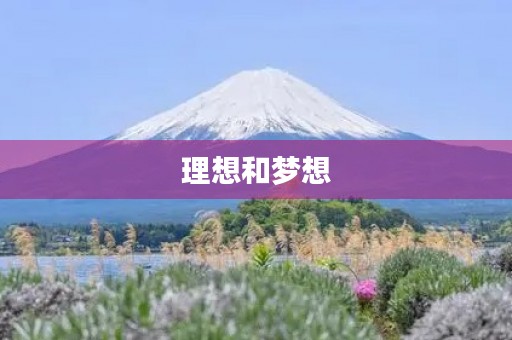 理想和梦想 理想和梦想