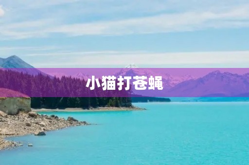 小猫打苍蝇 小猫打苍蝇
