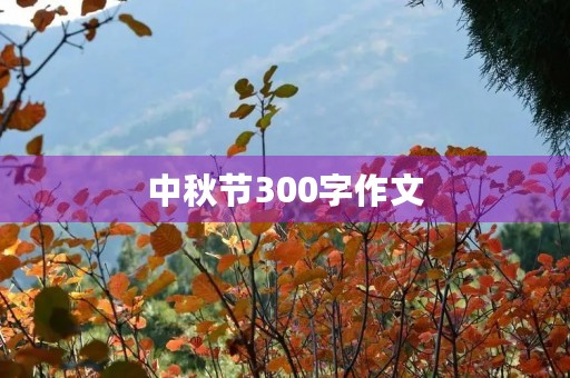中秋节300字作文