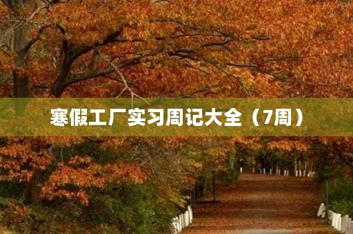 寒假工厂实习周记大全(7周) 寒假工厂实习周记大全(7周)