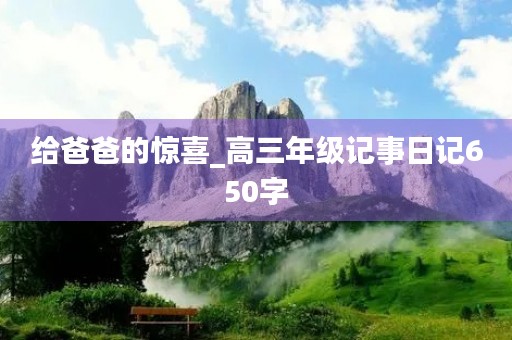 给爸爸的惊喜_高三年级记事日记650字