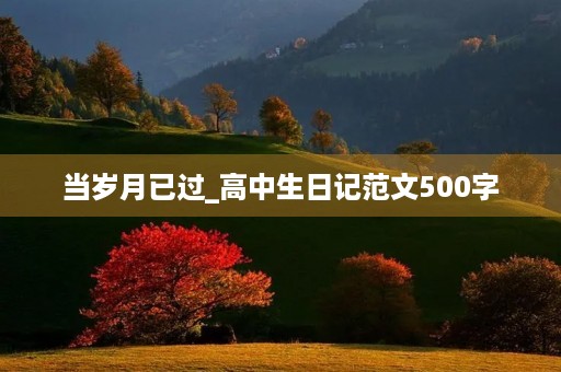 当岁月已过_高中生日记范文500字 当岁月已过_高中生日记范文500字