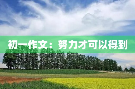 初一作文：努力才可以得到