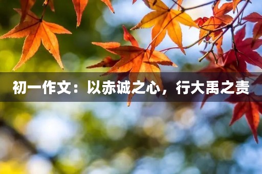 初一作文：以赤诚之心，行大禹之责
