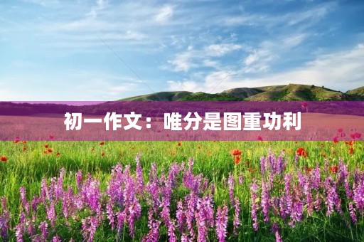初一作文:唯分是图重功利 初一作文:唯分是图重功利