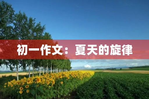 初一作文:夏天的旋律 初一作文:夏天的旋律