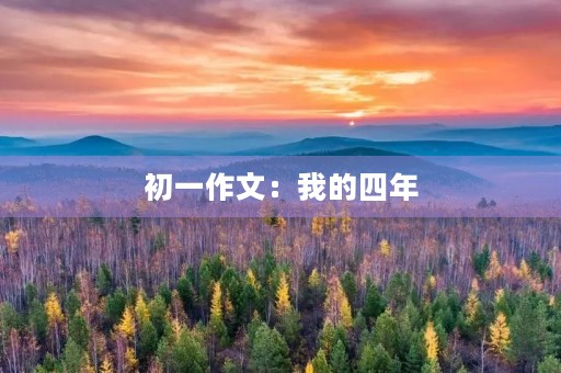 初一作文:我的四年 初一作文:我的四年