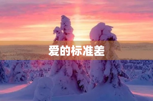爱的标准差 爱的标准差