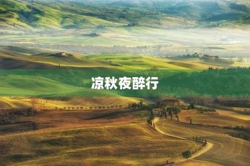凉秋夜醉行