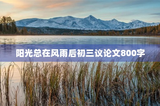 阳光总在风雨后初三议论文800字