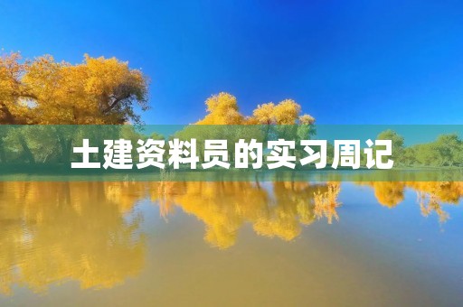 土建资料员的实习周记