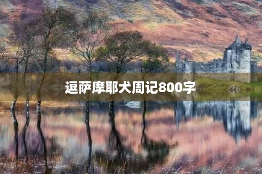 逗萨摩耶犬周记800字