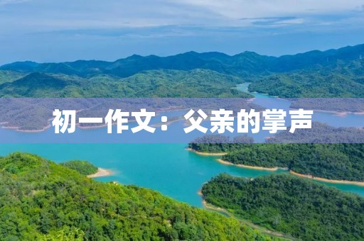 初一作文：父亲的掌声