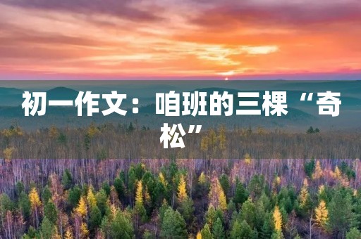 初一作文:咱班的三棵“奇松” 初一作文:咱班的三棵“奇松”