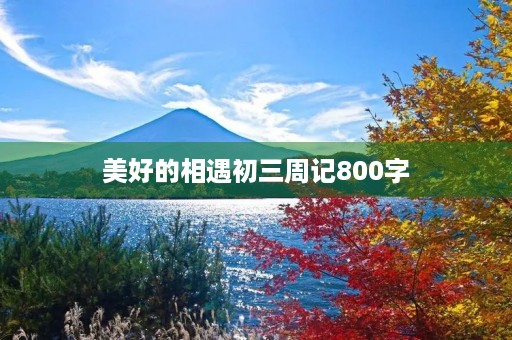 美好的相遇初三周记800字
美好的相遇初三周记800字