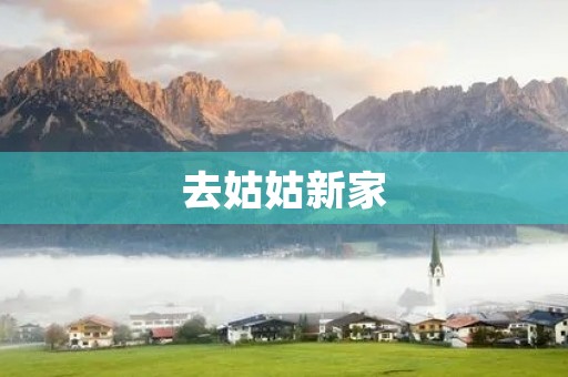 去姑姑新家