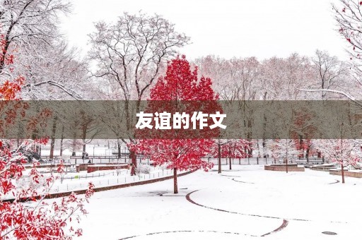 友谊的作文
