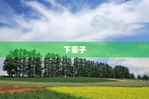 下辈子