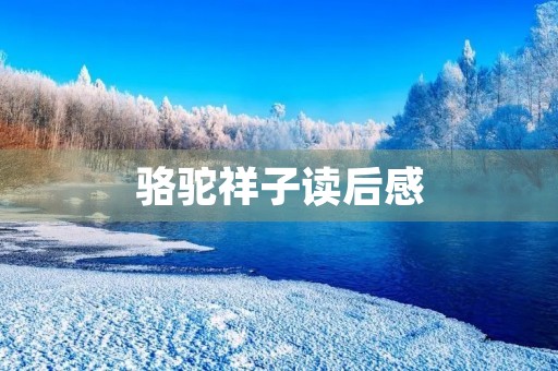 骆驼祥子读后感 骆驼祥子读后感