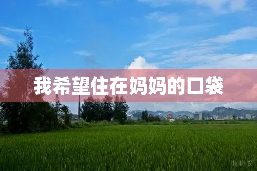 我希望住在妈妈的口袋 我希望住在妈妈的口袋