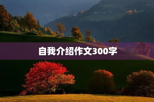 自我介绍作文300字