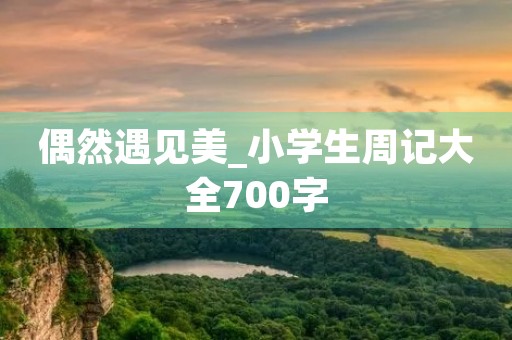 偶然遇见美_小学生周记大全700字