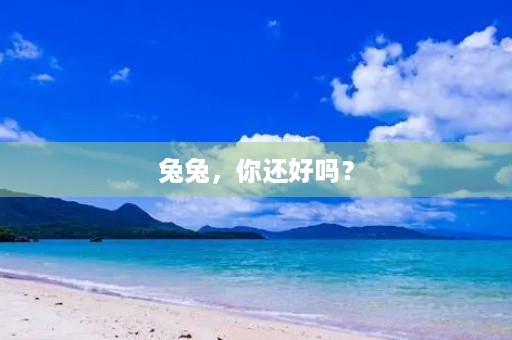 兔兔，你还好吗？