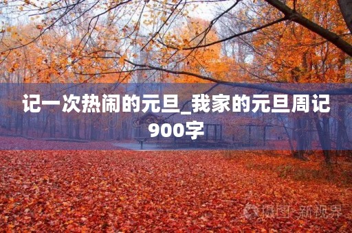 记一次热闹的元旦_我家的元旦周记900字