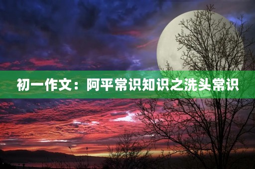 初一作文:阿平常识知识之洗头常识 初一作文:阿平常识知识之洗头常识
