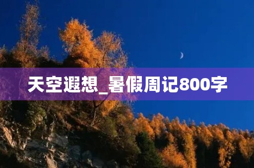 天空遐想_暑假周记800字 天空遐想_暑假周记800字