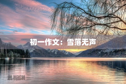 初一作文：雪落无声