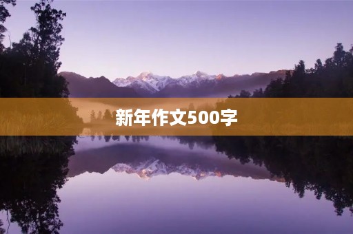 新年作文500字 新年作文500字