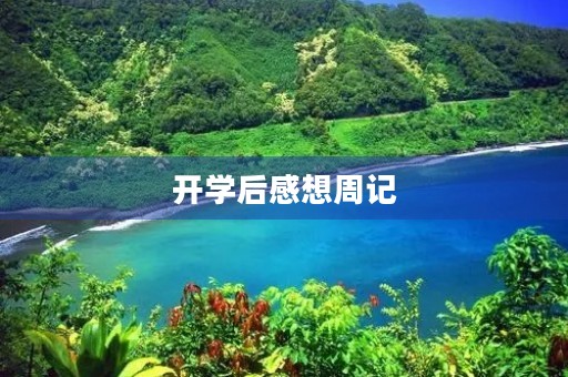 开学后感想周记