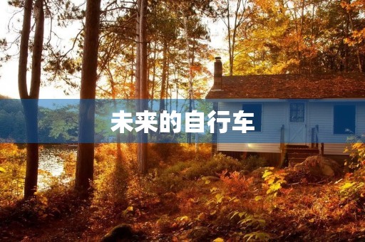 未来的自行车