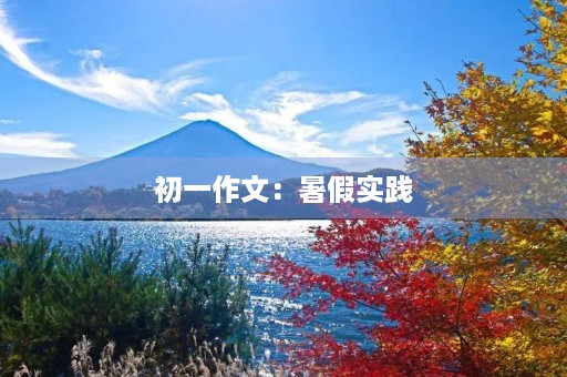初一作文:暑假实践 初一作文:暑假实践