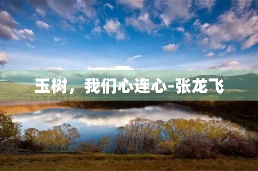 玉树,我们心连心-张龙飞 玉树,我们心连心-张龙飞