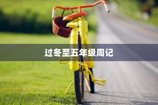 过冬至五年级周记