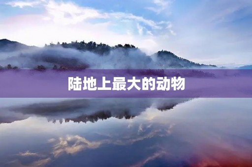 陆地上最大的动物 陆地上最大的动物