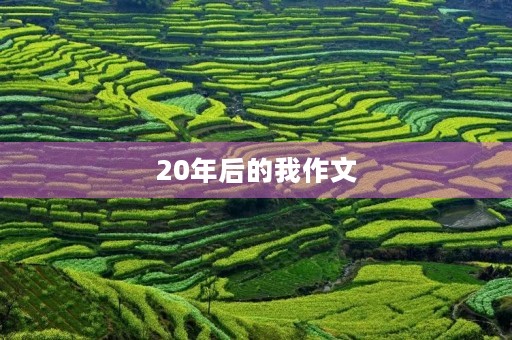 20年后的我作文 20年后的我作文