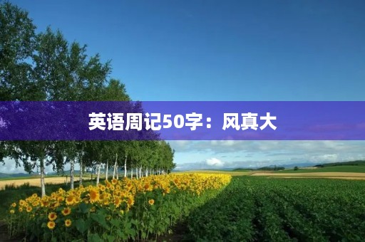 英语周记50字：风真大