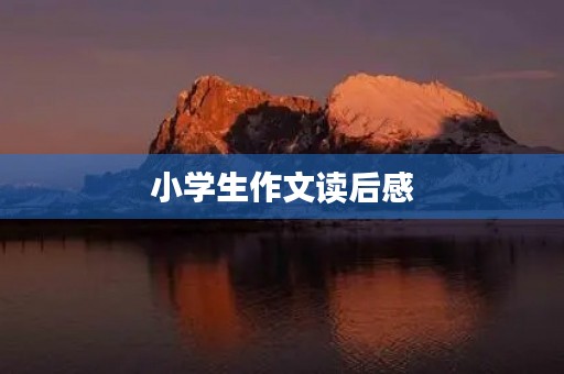 小学生作文读后感
