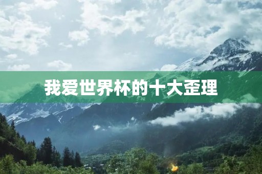 我爱世界杯的十大歪理