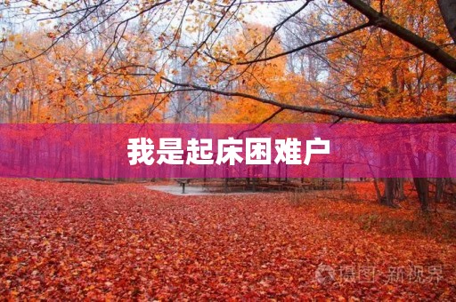 我是起床困难户 我是起床困难户