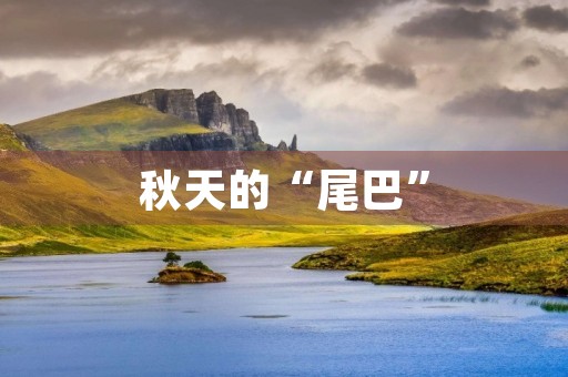 秋天的“尾巴” 秋天的“尾巴”