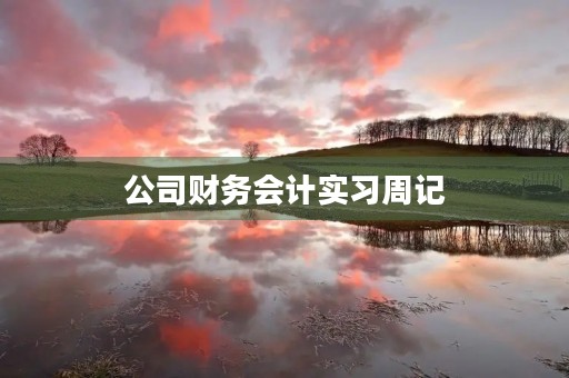 公司财务会计实习周记