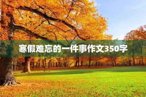 寒假难忘的一件事作文350字